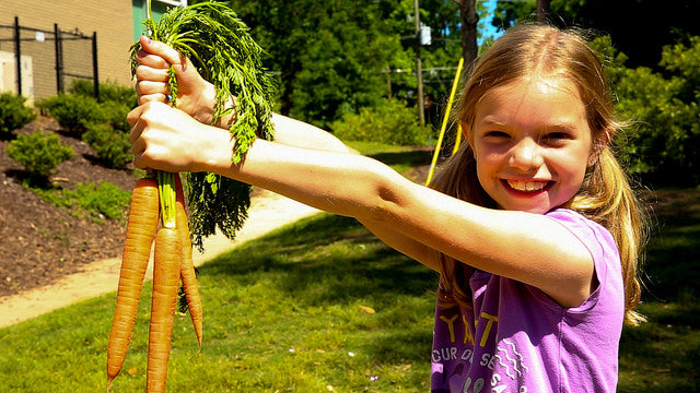 georgia farm 2 school