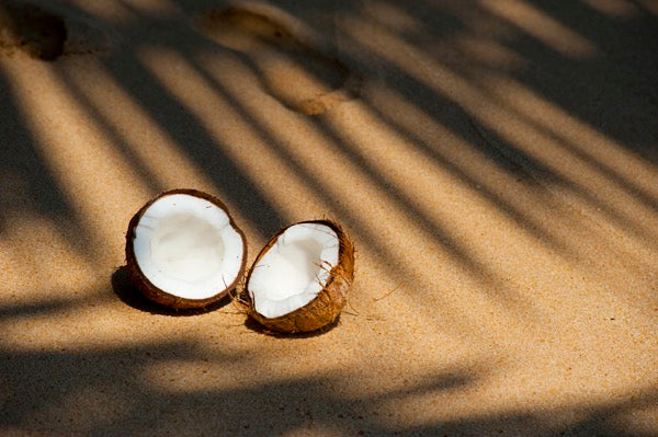 Chocolate Coconut Ice Cream with Toasted Coconut and Almonds