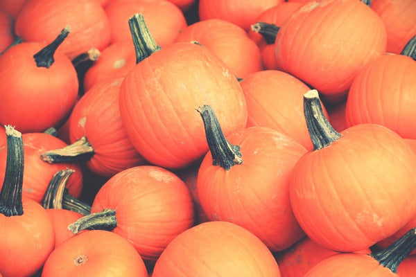 Pumpkin Pie Smoothie